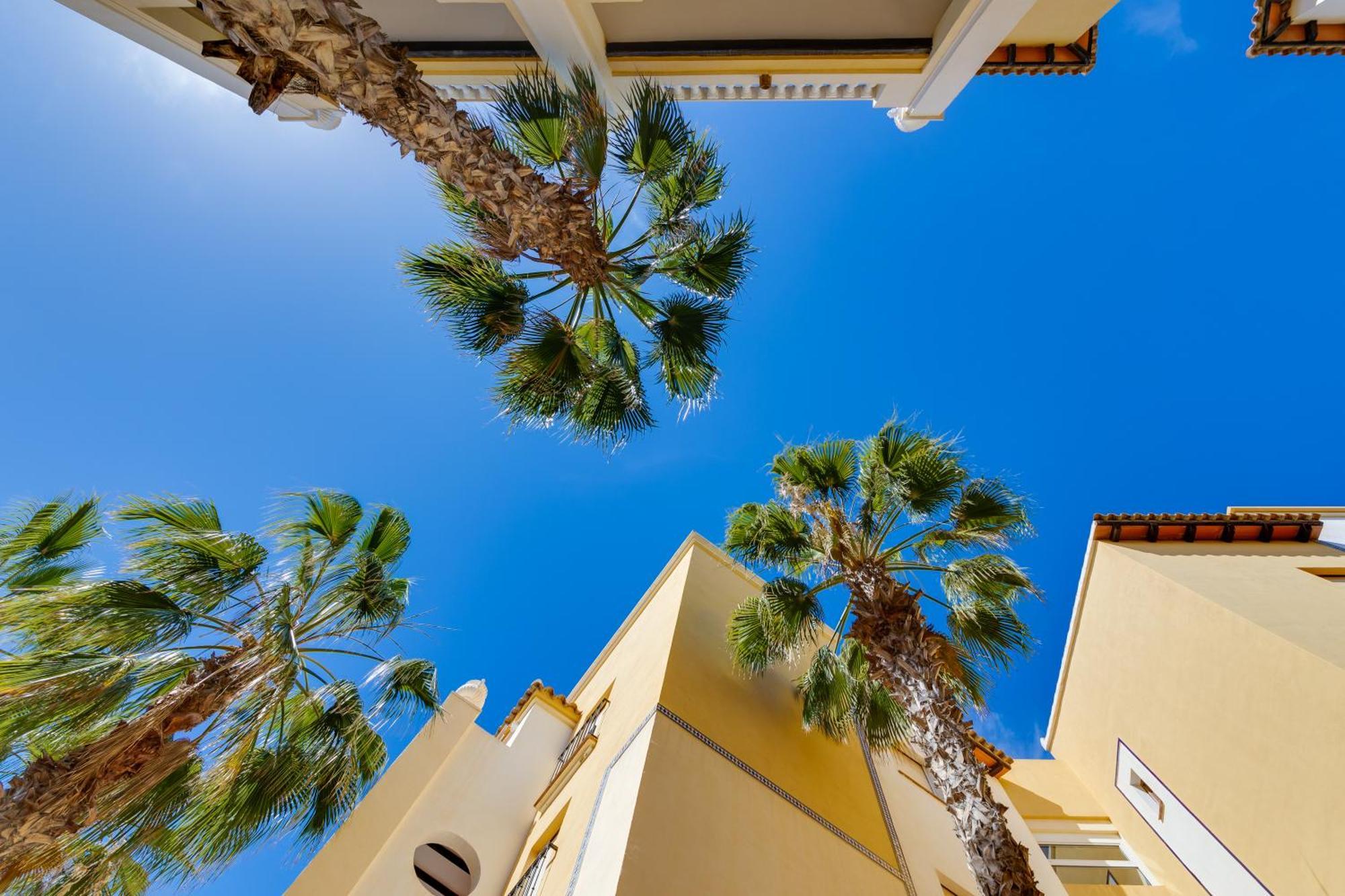 Premium Apartment Beach Aldea Del Mar Torrevieja Extérieur photo